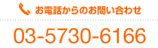 お電話からのお問い合わせ 03-5730-6166